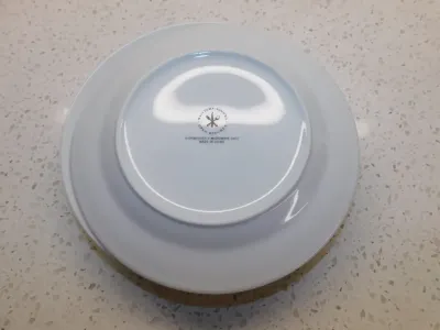 White Porcelain Plates Set of 4