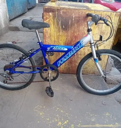 20' Hotsell Falcon Mountain bike