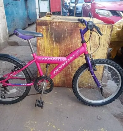 20' Hotsell Falcon Mountain bike