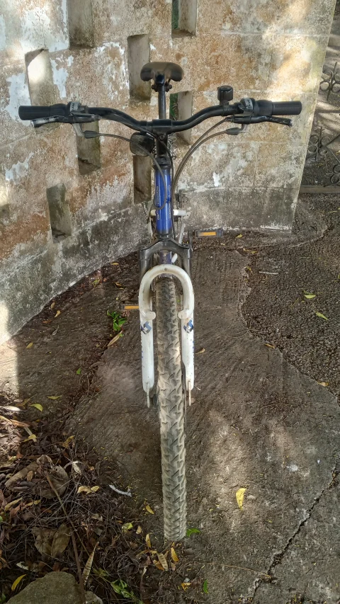 Mountain bike