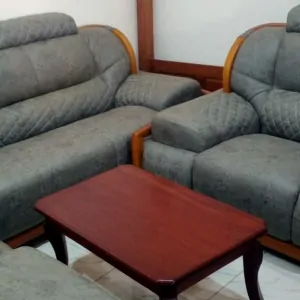 Modern Jungle furnitures